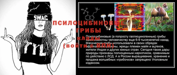 spice Александровское