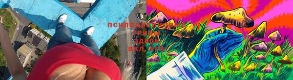 таблы Иноземцево